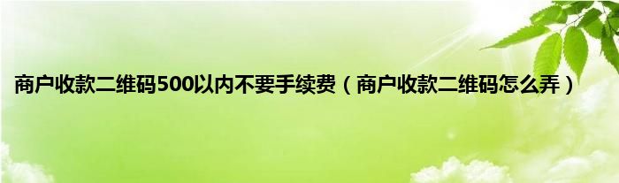 商户收款二维码500以内不要手续费（商户收款二维码怎么弄）