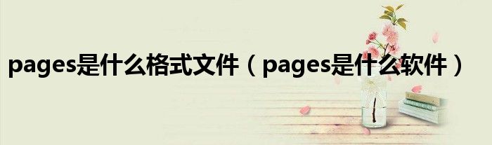 pages是什么格式文件（pages是什么软件）