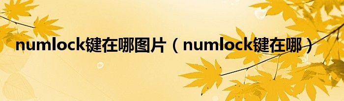 numlock键在哪图片（numlock键在哪）