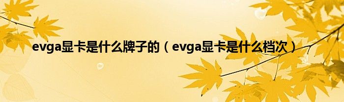 evga显卡是什么牌子的（evga显卡是什么档次）