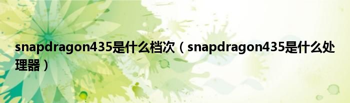 snapdragon435是什么档次（snapdragon435是什么处理器）