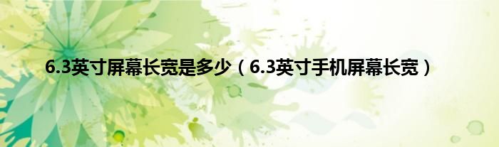 6.3英寸屏幕长宽是多少（6.3英寸手机屏幕长宽）