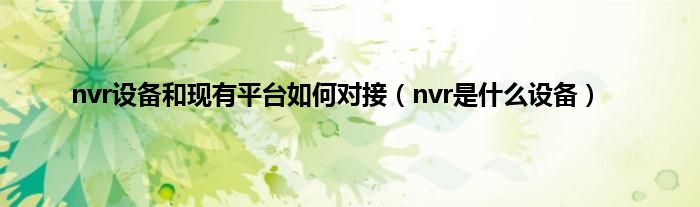 nvr设备和现有平台如何对接（nvr是什么设备）