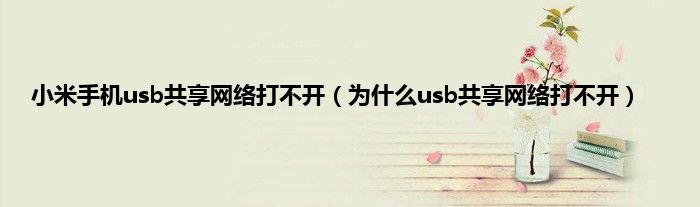 小米手机usb共享网络打不开（为什么usb共享网络打不开）