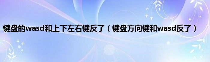 键盘的wasd和上下左右键反了（键盘方向键和wasd反了）