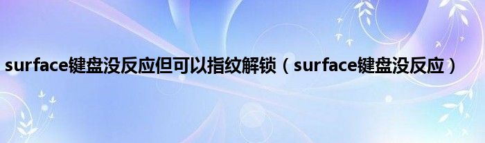 surface键盘没反应但可以指纹解锁（surface键盘没反应）