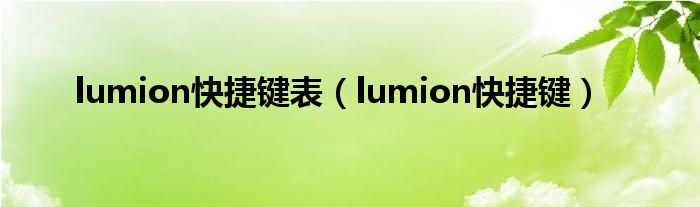 lumion快捷键表（lumion快捷键）