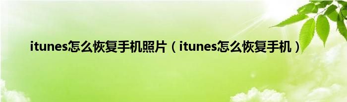 itunes怎么恢复手机照片（itunes怎么恢复手机）