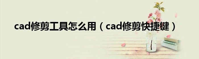 cad修剪工具怎么用（cad修剪快捷键）