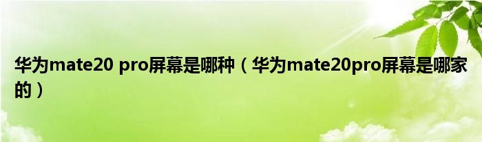 华为mate20 pro屏幕是哪种（华为mate20pro屏幕是哪家的）