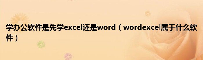 学办公软件是先学excel还是word（wordexcel属于什么软件）