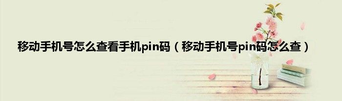 移动手机号怎么查看手机pin码（移动手机号pin码怎么查）