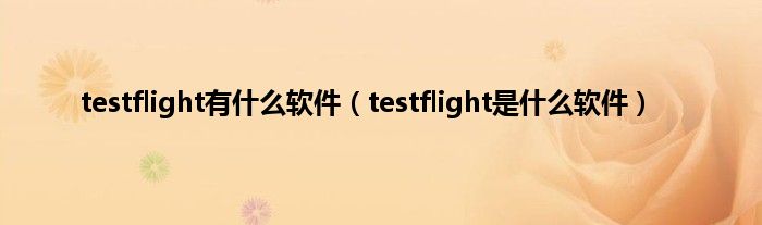 testflight有什么软件（testflight是什么软件）