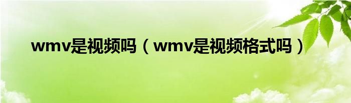 wmv是视频吗（wmv是视频格式吗）