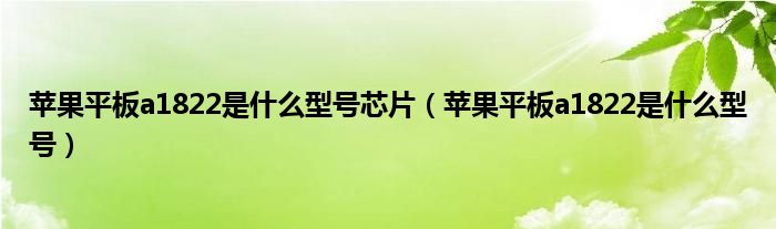 苹果平板a1822是什么型号芯片（苹果平板a1822是什么型号）