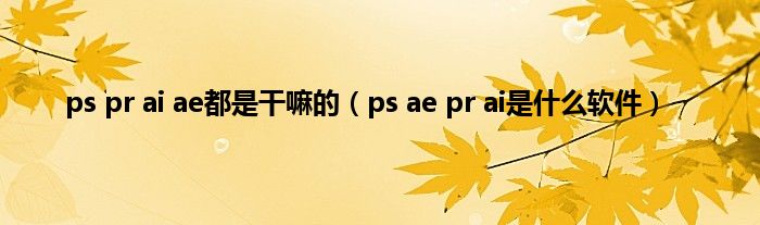 ps pr ai ae都是干嘛的（ps ae pr ai是什么软件）