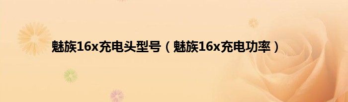 魅族16x充电头型号（魅族16x充电功率）