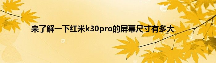 来了解一下红米k30pro的屏幕尺寸有多大