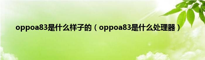 oppoa83是什么样子的（oppoa83是什么处理器）