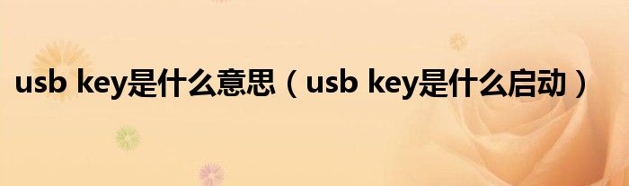 usb key是什么意思（usb key是什么启动）