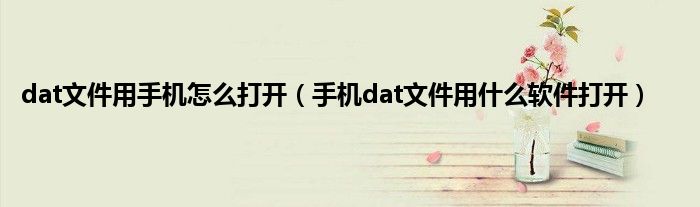 dat文件用手机怎么打开（手机dat文件用什么软件打开）