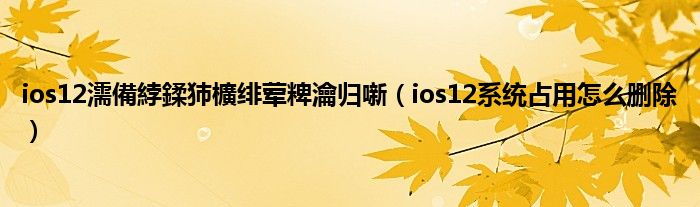 ios12濡備綍鍒犻櫎绯荤粺瀹归噺（ios12系统占用怎么删除）