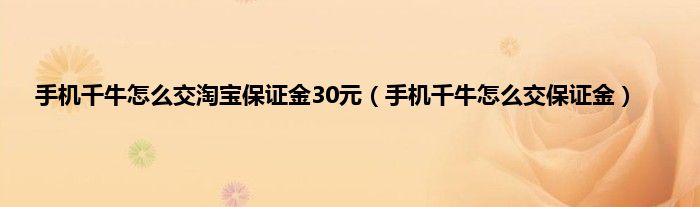 手机千牛怎么交淘宝保证金30元（手机千牛怎么交保证金）