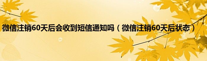 微信注销60天后会收到短信通知吗（微信注销60天后状态）