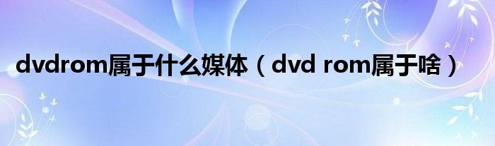 dvdrom属于什么媒体（dvd rom属于啥）