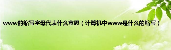 www的缩写字母代表什么意思（计算机中www是什么的缩写）