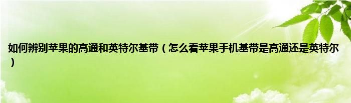 如何辨别苹果的高通和英特尔基带（怎么看苹果手机基带是高通还是英特尔）