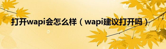 打开wapi会怎么样（wapi建议打开吗）