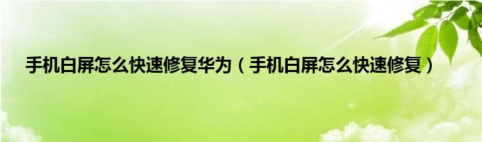 手机白屏怎么快速修复华为（手机白屏怎么快速修复）