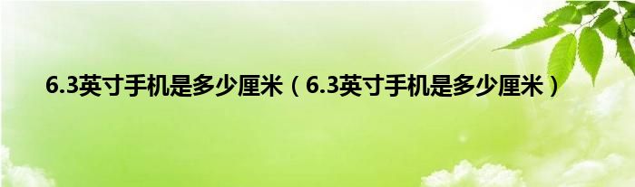 6.3英寸手机是多少厘米（6.3英寸手机是多少厘米）