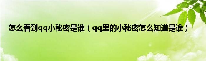 怎么看到qq小秘密是谁（qq里的小秘密怎么知道是谁）