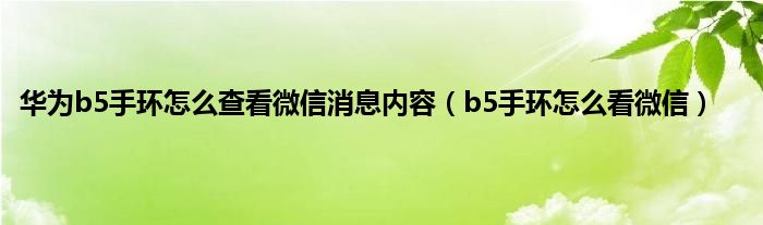 华为b5手环怎么查看微信消息内容（b5手环怎么看微信）