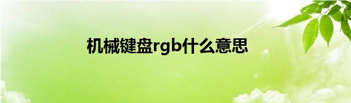 机械键盘rgb什么意思