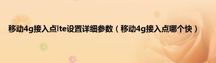 移动4g接入点lte设置详细参数（移动4g接入点哪个快）