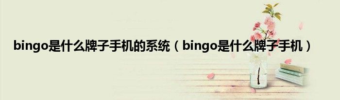 bingo是什么牌子手机的系统（bingo是什么牌子手机）