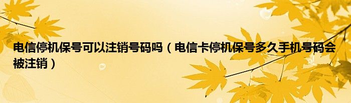 电信停机保号可以注销号码吗（电信卡停机保号多久手机号码会被注销）