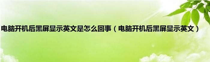 电脑开机后黑屏显示英文是怎么回事（电脑开机后黑屏显示英文）