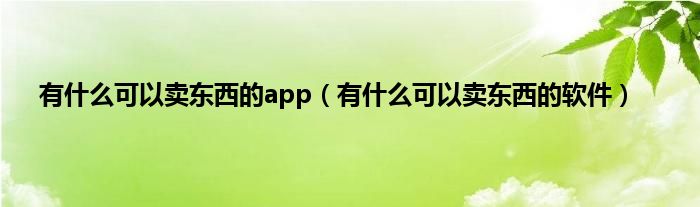 有什么可以卖东西的app（有什么可以卖东西的软件）