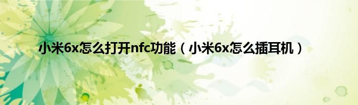 小米6x怎么打开nfc功能（小米6x怎么插耳机）