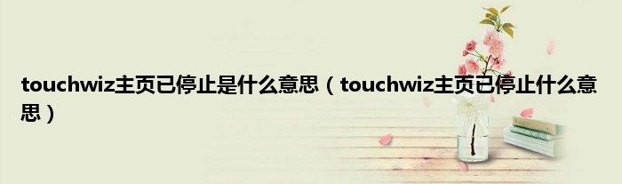 touchwiz主页已停止是什么意思（touchwiz主页已停止什么意思）