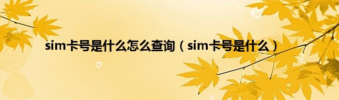 sim卡号是什么怎么查询（sim卡号是什么）