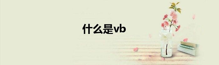 什么是vb