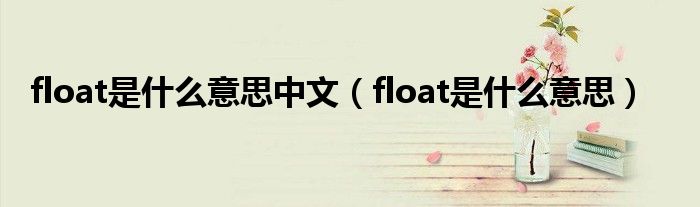 float是什么意思中文（float是什么意思）