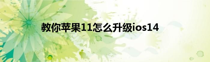 教你苹果11怎么升级ios14