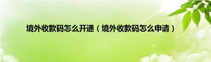 境外收款码怎么开通（境外收款码怎么申请）