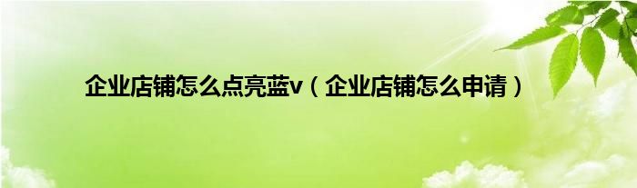 企业店铺怎么点亮蓝v（企业店铺怎么申请）